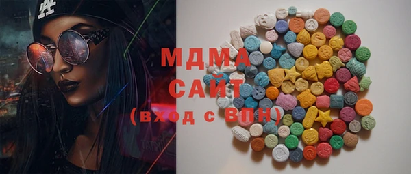 хмурый Арсеньев