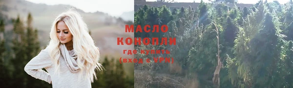 хмурый Арсеньев
