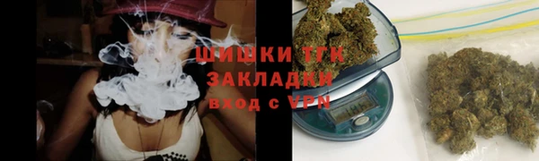 хмурый Арсеньев