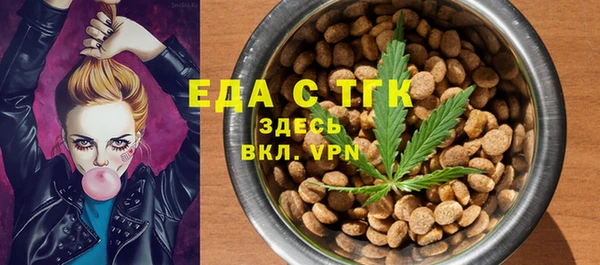 хмурый Арсеньев