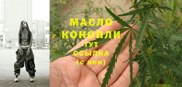хмурый Арсеньев