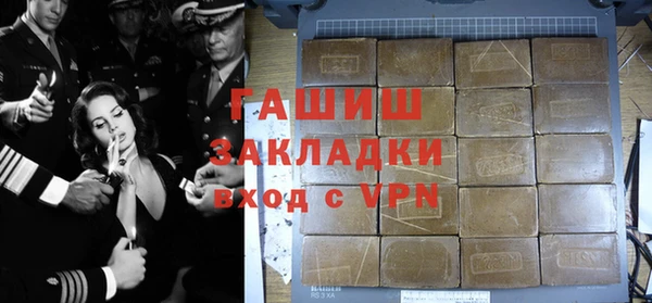 хмурый Арсеньев