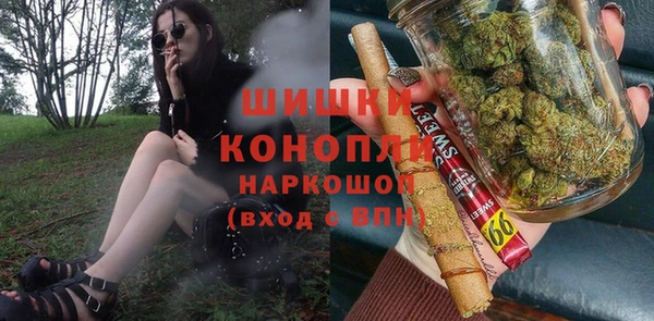 хмурый Арсеньев