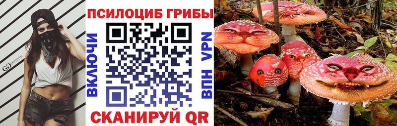 Псилоцибиновые грибы GOLDEN TEACHER  ссылка на мегу онион  Рузаевка 